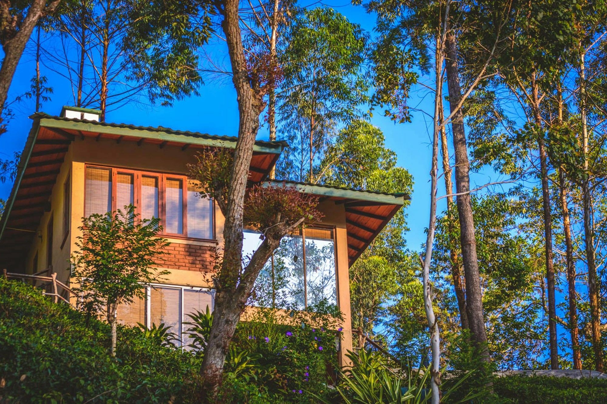 Tea Cottage Resort & Spa Nawalapitiya Eksteriør billede